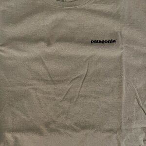 Patagonia Light Green Responsibili-Tee
